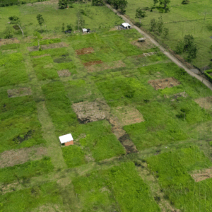 𝗣𝗿𝗼𝘆𝗲𝗰𝘁𝗼 𝗖𝗼𝗹𝗱𝗲𝘀𝗮 Las Acacias🌴 ⁣