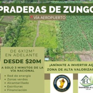 𝗣𝗿𝗼𝘆𝗲𝗰𝘁𝗼 Praderas de Zungo - Vía Aeropuerto Carepa🛫