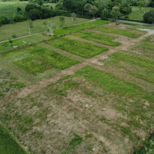 Proyecto Villa Carolina