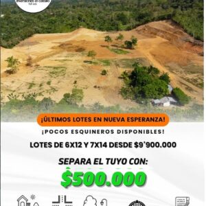 Proyecto Nueva Esperanza - Currulao